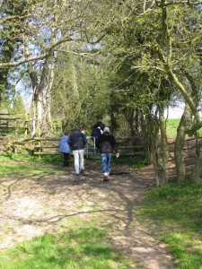 100 13th Uphill - a boggy path