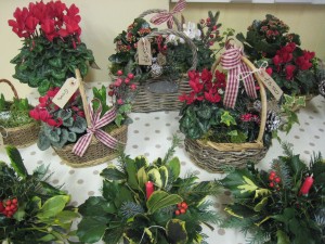 Planted Festive Baskets
