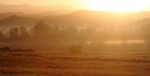 dawn
