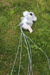 teddy parachute