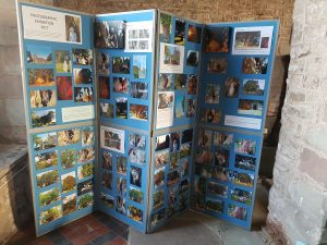 FoLY Photo Comp 2017 St Mary's