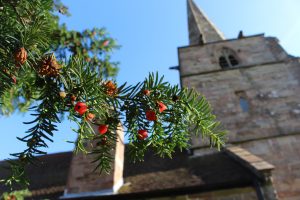 Winner 2017 FoLY Photo Comp