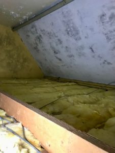 Loft Insulation 2